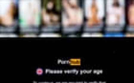 UK watchdog investigating Pornhub over concerns it can still be accessed by children