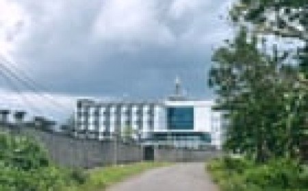 Men deported from US bound and beaten in Equatorial Guinea detention hotel, lawyers say