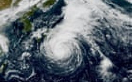 Japanese islands brace for Dujuan to become a typhoon again