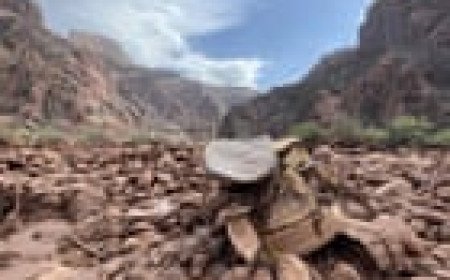 Human remains found in Arizona after deadly Grand Canyon flash floods