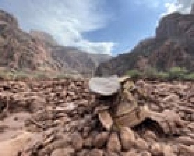 Human remains found in Arizona after deadly Grand Canyon flash floods
