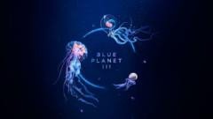 Coming soon: Sir David Attenborough's next great ocean journey