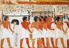 Skull fractures suggest servants of Egypt’s ancient kings were sacrificed