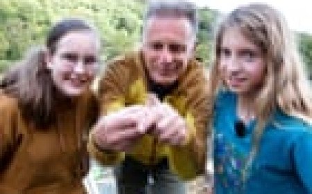 Wanted: children to rear harvest mice at home for wild release in Devon