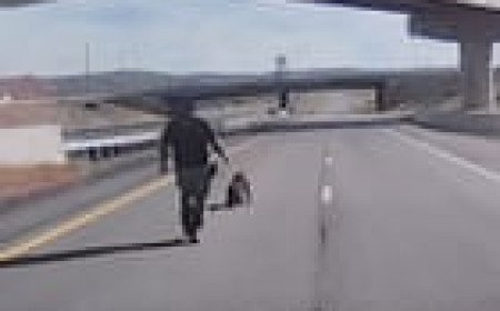 Video shows moment Utah police dog seriously injured in leap from overpass