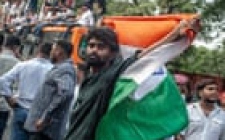 India’s cockroach protesters defy Modi’s crackdown – The Latest