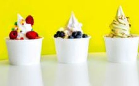 Froyo's made a comeback. But at £12 a tub will it last?