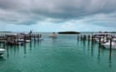 British woman dies trying to save sons on Bahamas snorkelling trip