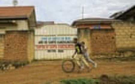 Nigeria confirms Ebola case as outbreak spreads into western Africa