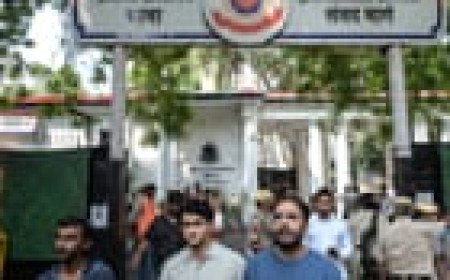 Indian court orders release of two leaders of Cockroach movement