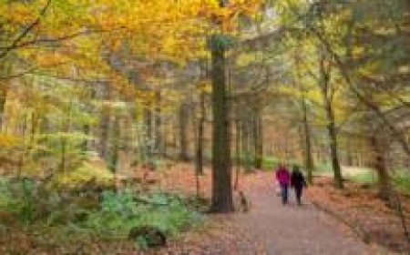 UK set for coldest night of autumn so far