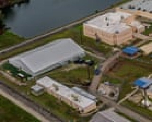 Severely ill ICE detainees face imminent deportation to unknown African states, advocates say